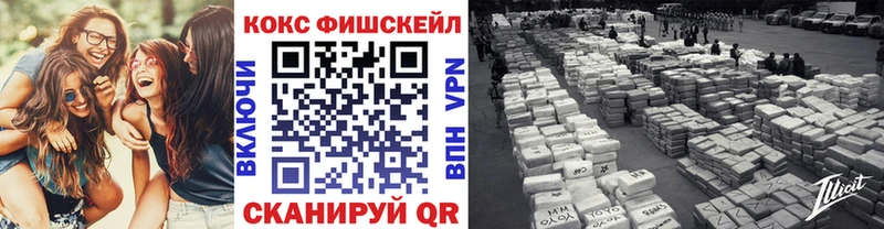 Купить  Дятьково  COCAIN FishScale 