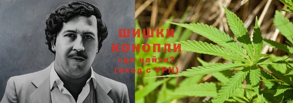 мяу мяу мука Каменногорск