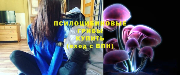 ПСИЛОЦИБИНОВЫЕ ГРИБЫ Ачинск