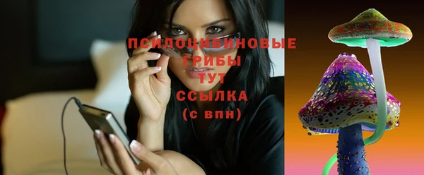 мяу мяу мука Каменногорск