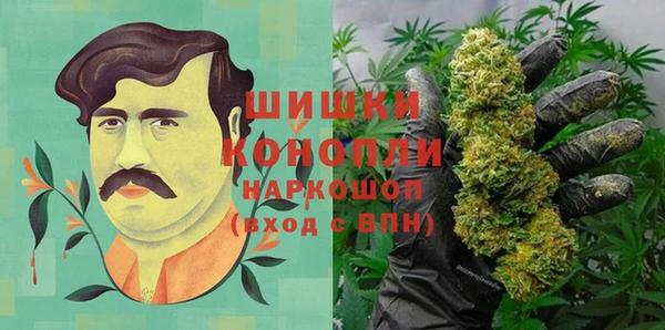 эйфоретик Каменка