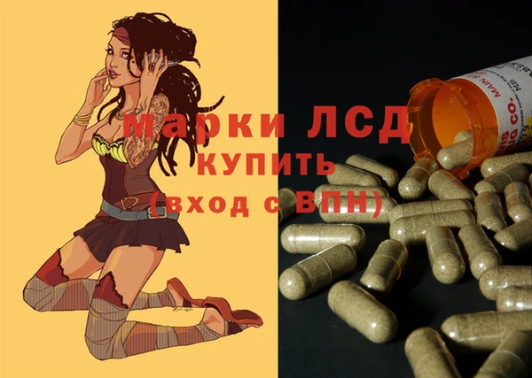 PSILOCYBIN Бердск